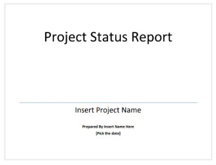 3. Detailed project status report template