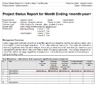 2. Monthly project status report template
